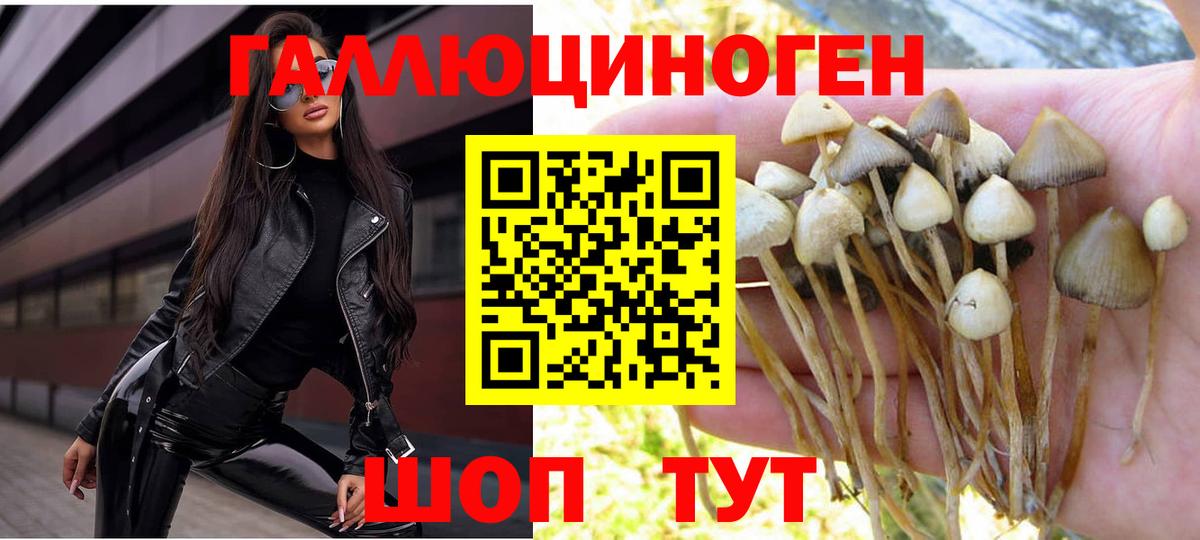 Галлюциногенные грибы GOLDEN TEACHER  Вход с VPN  Усть-Джегута  Псилоцибиновые грибы MAGIC MUSHROOMS 