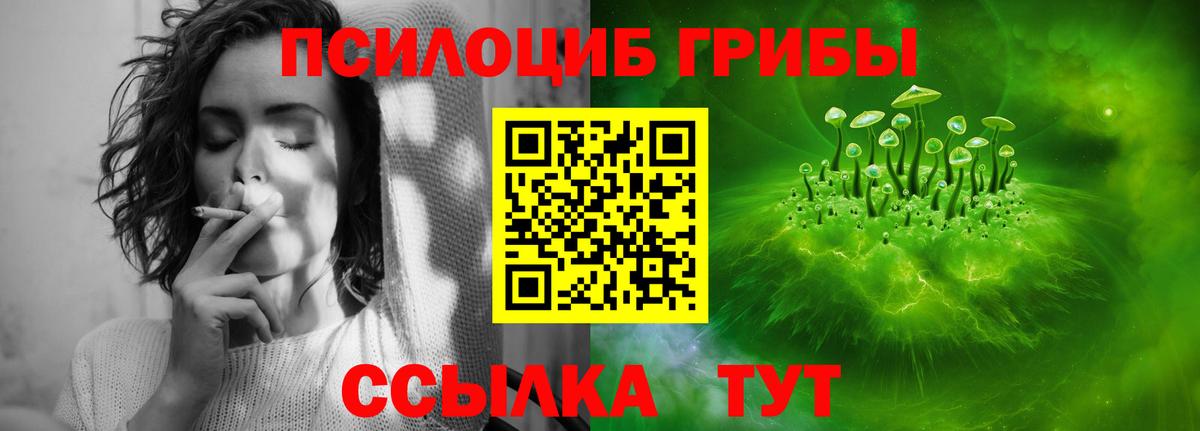 Псилоцибиновые грибы Cubensis Усть-Джегута
